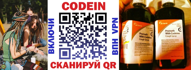 продажа наркотиков  Петропавловск-Камчатский  mega вход  Кодеиновый сироп Lean Purple Drank 