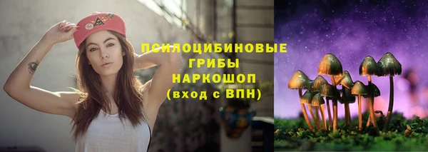 стафф Баксан