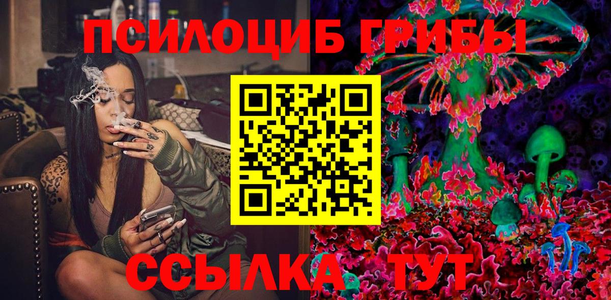 Псилоцибиновые грибы прущие грибы Петропавловск-Камчатский