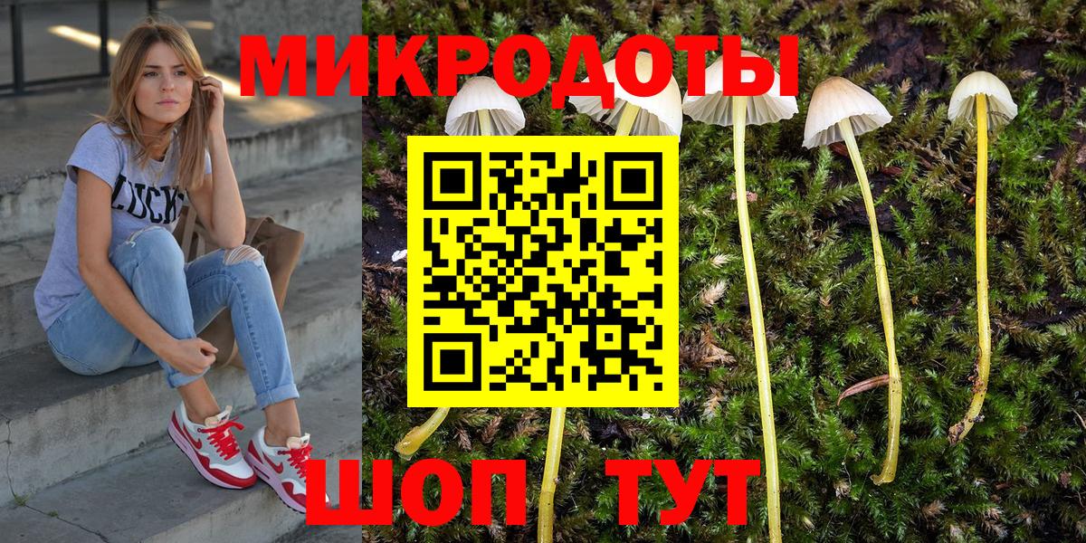 Петропавловск-Камчатский  Галлюциногенные грибы GOLDEN TEACHER  Вход с VPN 